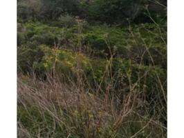 TERRENO ASENTAMIENTO RURAL photo 0