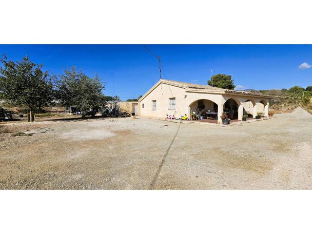 Venta Huerto (Totana) Parcela 10.300 m2- Piscina photo 0