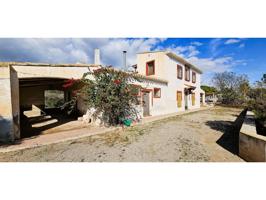 Venta Huerto (Zona Perdiguero) 9.000 m2 Parcela photo 0