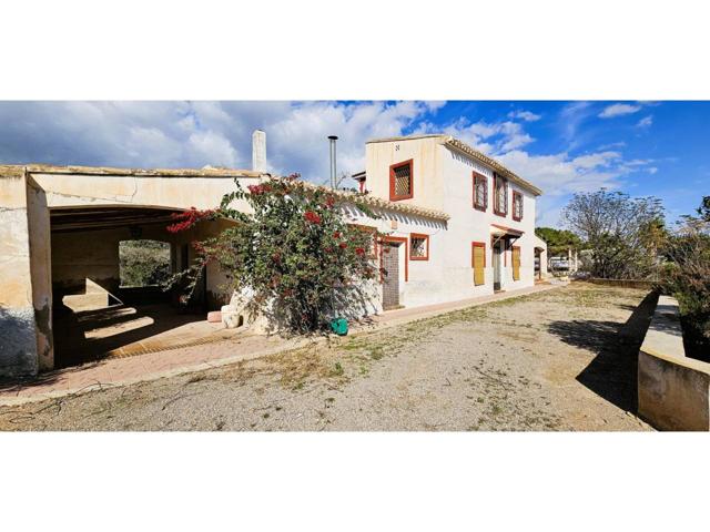 Venta Huerto (Zona Perdiguero) 9.000 m2 Parcela photo 0