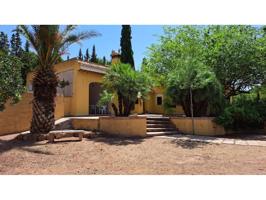 Venta Finca Rustica (Carretera Fuente Alta) 33 Has- Pozo de Agua photo 0