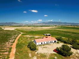 Venta Finca Rustica (Raiguero Bajo) Casa + Terreno 57.392 m2 photo 0