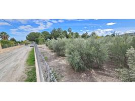 Venta Parcela (Zona Morti) + Acción de Agua photo 0