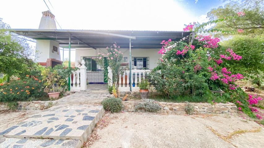 FINCA DE USO AGRARIO CON CASA EN COÍN. MÁLAGA photo 0