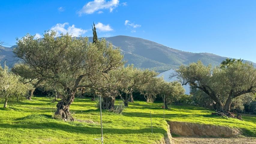 FINCA EN MAJADA VIEJA, ALHAURÍN EL GRANDE photo 0