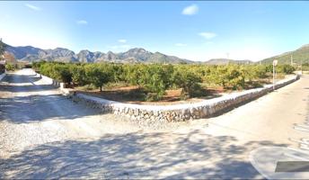 SE VENDE PARCELA DE 13 HANEGADAS EN MARXUQUERA EN PLENA PRODUCCION photo 0