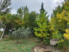 Finca Rustica en Marcilla photo 0