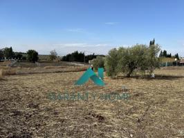 SE VENDE PARCELA URBANIZABLE EN AGUILAR DE LA FRONTERA photo 0