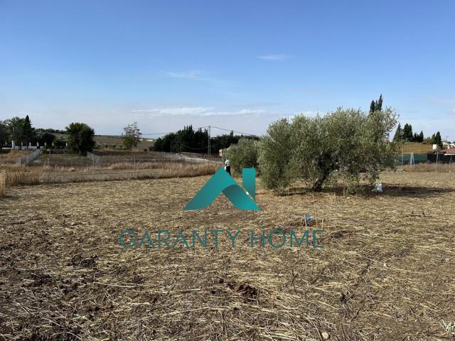 SE VENDE PARCELA URBANIZABLE EN AGUILAR DE LA FRONTERA photo 0