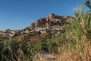 PARCELA URBANA EN COGOLLOS VEGA photo 0