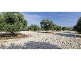 Venta de finca rústica en Cañete de Las Torres photo 0