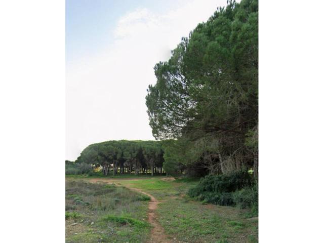 Oportunidad Exclusiva para Desarrolladores Hoteleros: Tres Terrenos Estratégicos a Solo 3 km de la Playa de La Barrosa photo 0