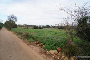 Terreno Urbanizable En venta en Llucmajor (campo), Llucmajor photo 0