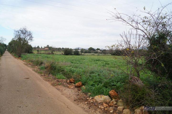 Terreno Urbanizable En venta en Llucmajor (campo), Llucmajor photo 0