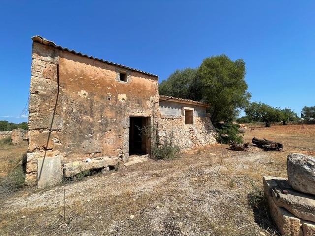 SE VENDE FINCA RUSTICA EDIFICABLE photo 0