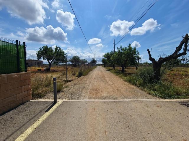 ¡Construye tu Hogar en un Paraíso Rural! Solar en Marratxí (SON AMETLER): Oportunidad photo 0