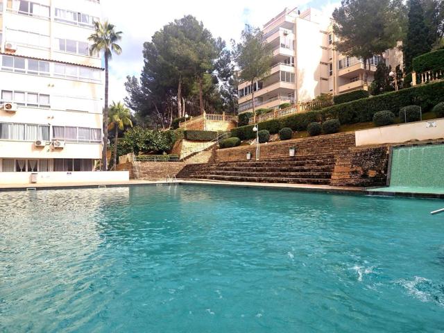 Estudio Reformado en Costa de la Calma, con Vistas al Mar 🌊✨ photo 0