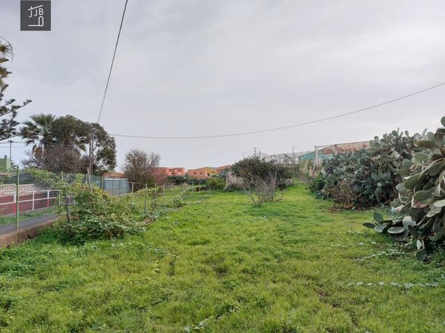 TERRENO URBANO CONSOLIDADO EN GENETO, LA LAGUNA. photo 0