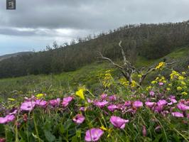 ESPECTACULAR TERRENO EN VENTA EN LAS LAGUNETAS photo 0