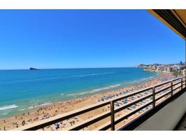 GRAN APARTAMENTO BENIDORM, VACACIONAL photo 0