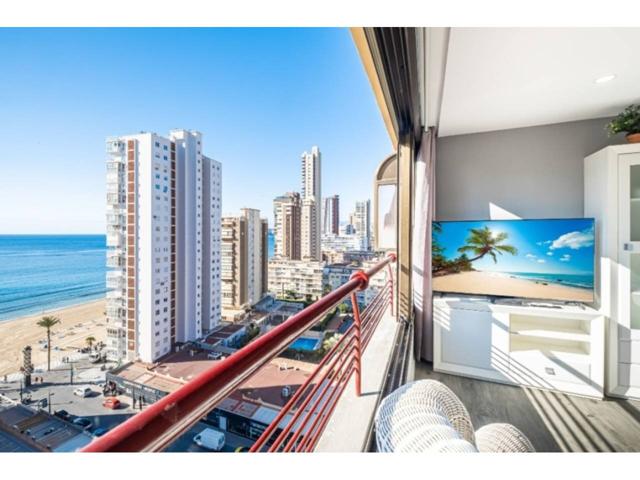EN BENIDORM A 50m DEL MAR, VACACIONAL photo 0