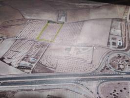Terreno Urbanizable En venta en San Anton, Almansa photo 0