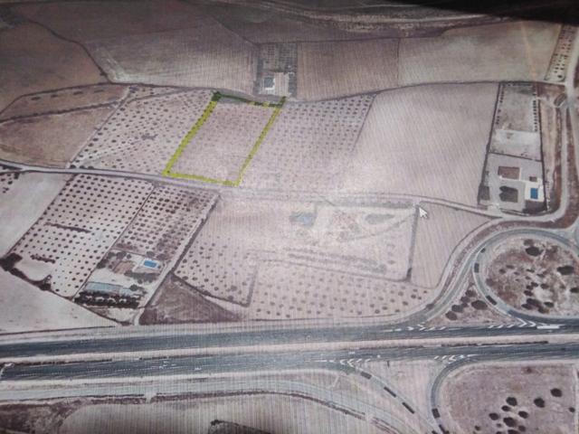 Terreno Urbanizable En venta en San Anton, Almansa photo 0