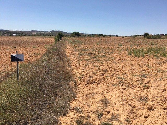 Terreno Urbanizable En venta en San Anton, Almansa photo 0