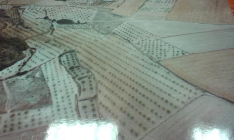 TERRENO EN CANTOBLANCO photo 0