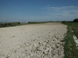 Terreno Urbanizable En venta en Almansa, Almansa photo 0