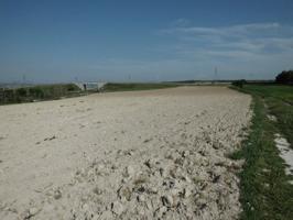 Agrícola En venta en Almansa, Almansa photo 0