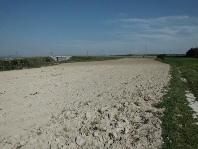 Terreno Urbanizable En venta en Almansa, Almansa photo 0