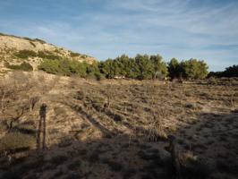 Terreno Urbanizable En venta en Almansa, Almansa photo 0