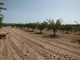Terreno Urbanizable En venta en Almansa, Almansa photo 0