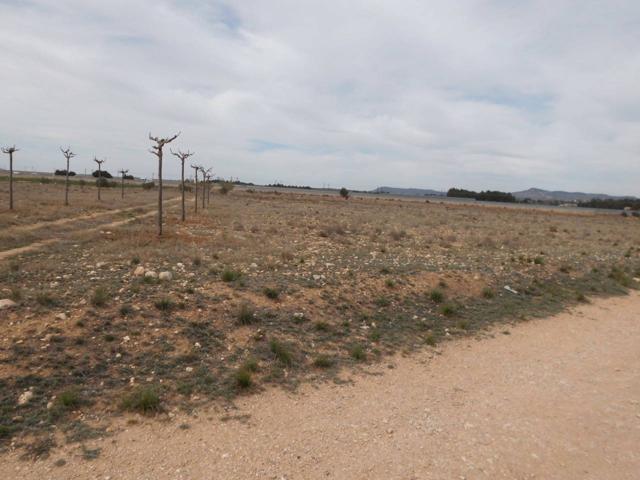 Terreno Urbanizable En venta en Almansa, Almansa photo 0
