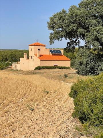 EXTRAORDINARIA FINCA EN ALMANSA photo 0