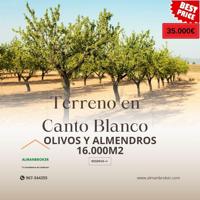 TERRENO EN CANTO BLANCO CON 8400M2 CON ALMENDROS Y 8300M2 CON OLIVOS. TOTAL 16.000M2 photo 0