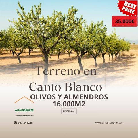TERRENO EN CANTO BLANCO CON 8400M2 CON ALMENDROS Y 8300M2 CON OLIVOS. TOTAL 16.000M2 photo 0
