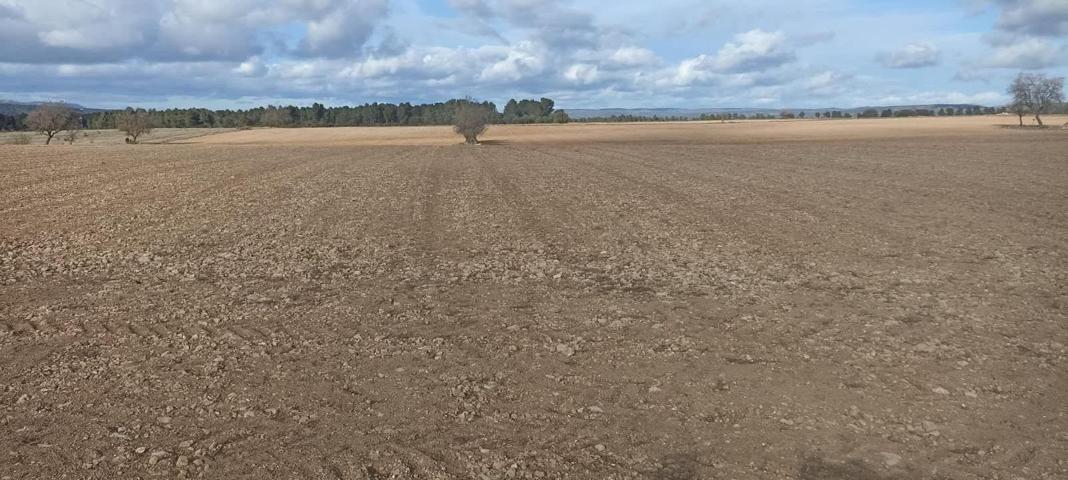 TERRENO EN CASAS DE MADRONA photo 0