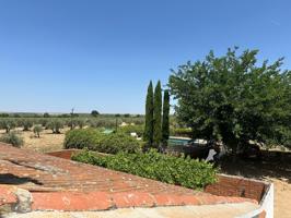 Finca en Puebla de Montalban photo 0