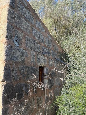 PARCELA RUSTICA CON CASETA photo 0