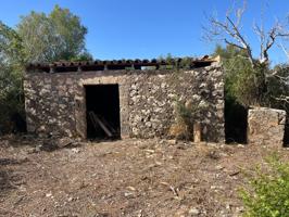 FINCA CON CASA PARA REFORMAR EN ARIANY photo 0