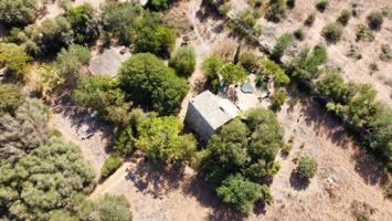 FINCA 46000 EN SENCELLES CON DOS CASITAS PARA REFORMAR photo 0