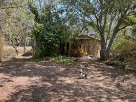 FINCA 46000 EN SENCELLES CON DOS CASITAS PARA REFORMAR photo 0