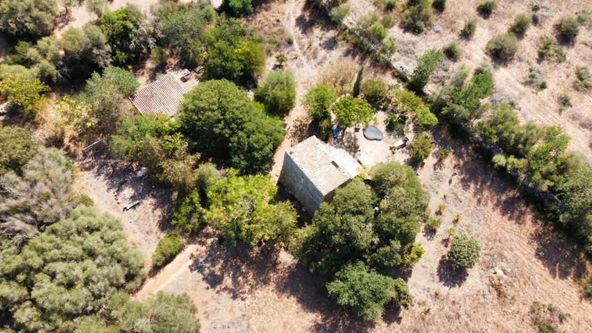 FINCA 46000 EN SENCELLES CON DOS CASITAS PARA REFORMAR photo 0