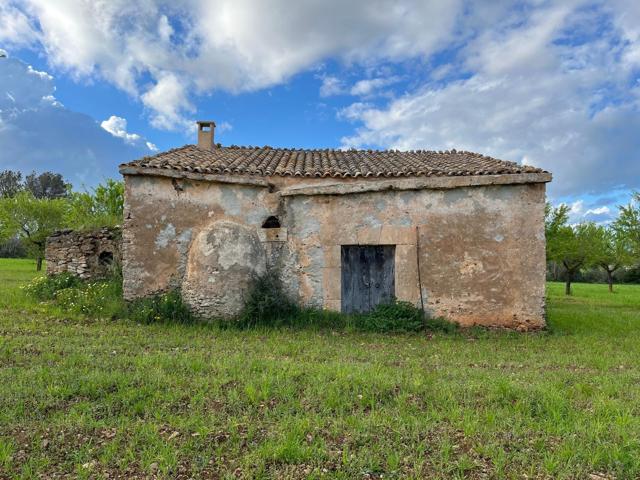 FINCA RUSTICA URBANIZABLE EN SENCELLES photo 0