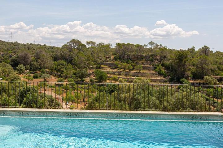 FINCA SOSTENIBLE CERCA DE PALMA photo 0