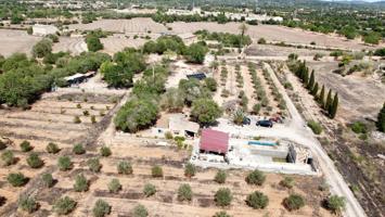 SE VENDE FINCA PARA REFORMAR EN LLUCMAJOR photo 0