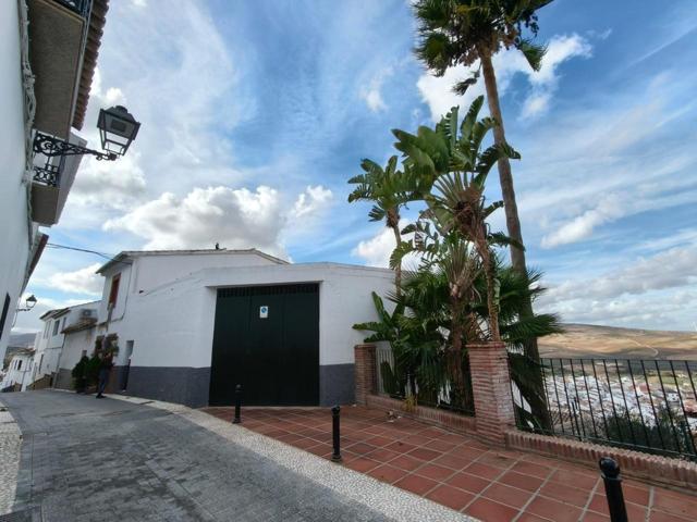 Deje volar a la imaginación photo 0