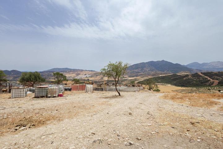 Finca Rustica con enorme potencial photo 0